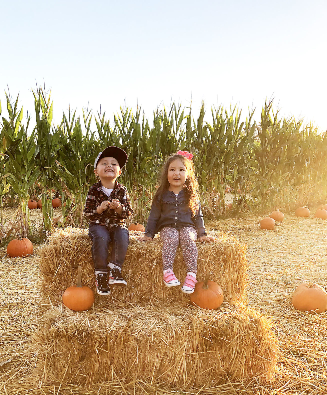 Pumpkin Patch